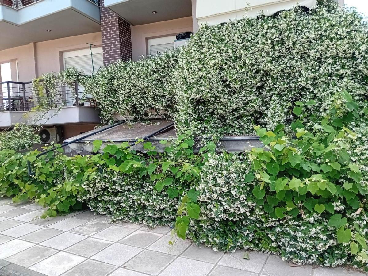 Apartmán Stella'S Jasmine Soluň Exteriér fotografie